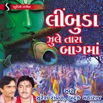 Jhalavadi Dhol - Bhala Bhanejada - Limbuda Jhule Tara artwork