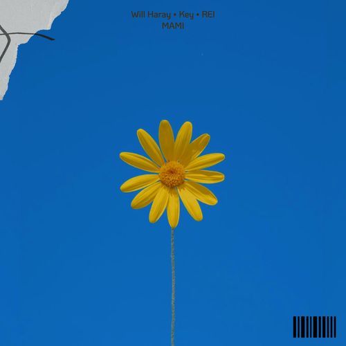 Mami (feat. Wil Haray & keybeibe)