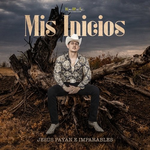 Le Fallo Al Comandante cover art