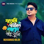 Moneri Gohine Acho Shudhu Tumi