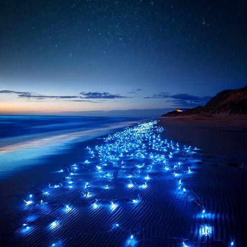 Music To Light The Path Of Dreams