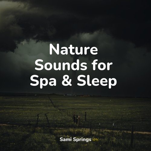 Nature Sounds for Spa &amp; Sleep_poster_image