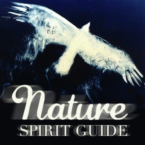 Nature Spirit Guide (Native Sounds Drums Healing & Peace)