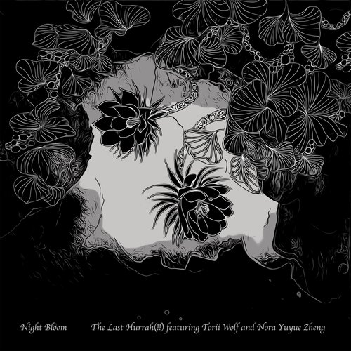 Night Bloom_poster_image