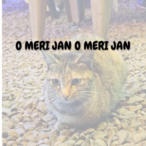 O MERI JAN O MERI JAN