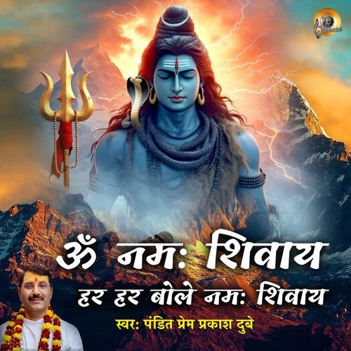 Om Namah Shivay