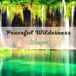 Lullaby with Nature Sounds artwork