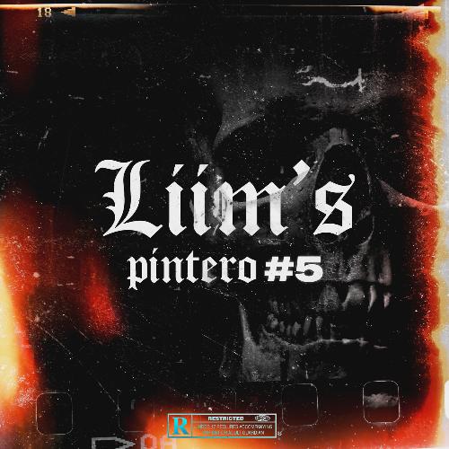 Pintero #5_poster_image