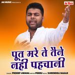 Poot Mare Te Taine Nahin Pahchani