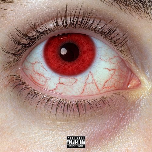Robove (Feat. BIG Naughty) cover art