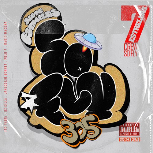 Sofly 305 cover art