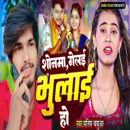 Sonwa Gelai Bhulai Ho
