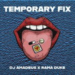 Temporary Fix (Extended Mix)
