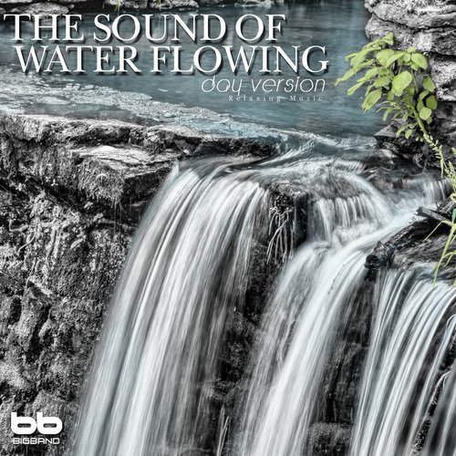 The Sound of Water Flowing (Day Version)