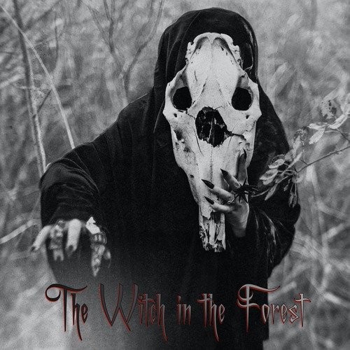 The Witch in the Forest_poster_image