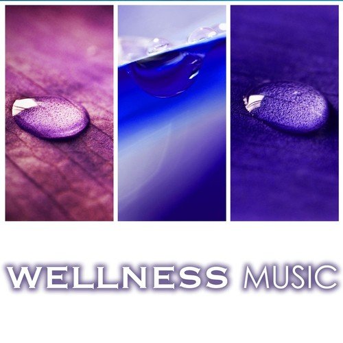 Wellness Music - Spa Sounds with Water