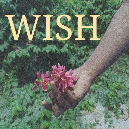 Wish