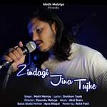 Zindagi Jina Tujhe