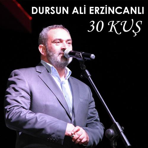 30 Kuş_poster_image