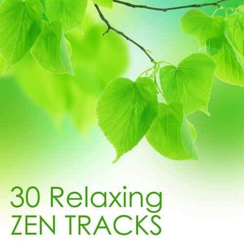 30 Relaxing Zen Tracks - Relaxation Meditation Music
