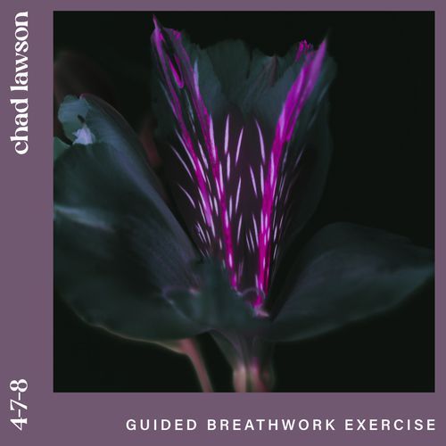 4-7-8 (guided breathwork exercise)_poster_image