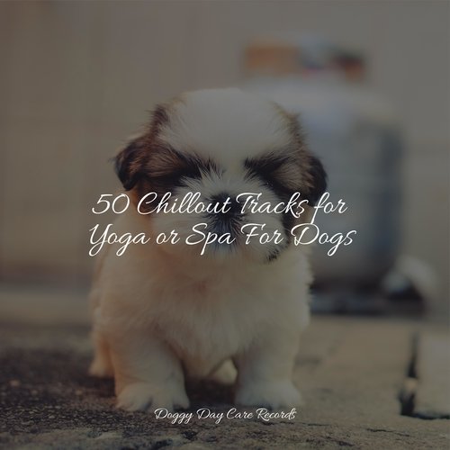 50 Chillout Tracks for Yoga or Spa For Dogs_poster_image