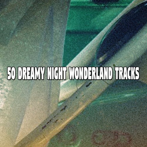 50 Dreamy Night Wonderland Tracks