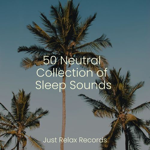 50 Neutral Collection of Sleep Sounds