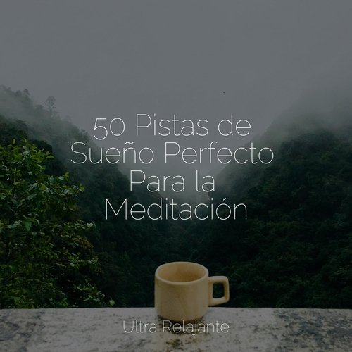 Meditaciones Relajantes