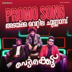 Adakka Vettila Chunnambu (From "Vedikkettu")