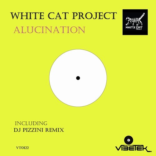 Alucination (DJ PIZZINI remix) cover art
