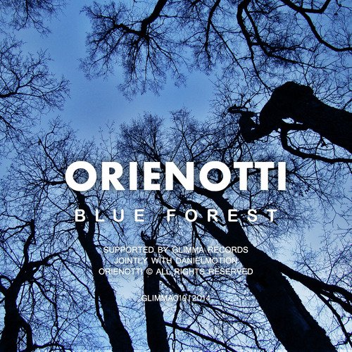 Blue Forest cover art