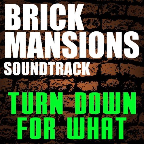 Brick Mansions Soundtrack (Turn Down for What)