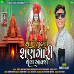 Dasha Ma Sadhani Shangari Vela Aavjo