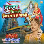 Dulha Milale Handsome Ye Sakhi