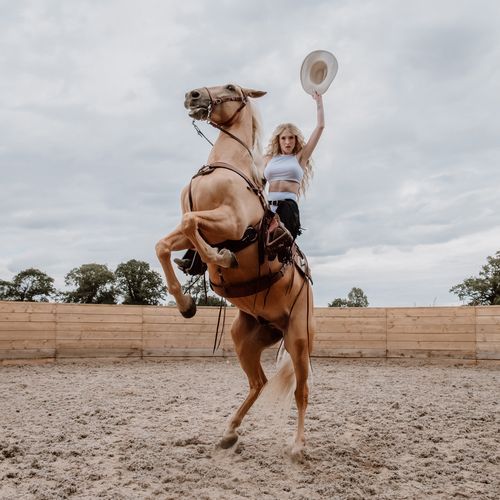 Emotional Rodeo_poster_image