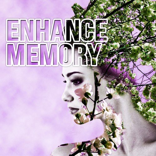 Enhance Memory – Exam Study, Focus and Mindfulness, Increase Brain Power, Nature Sounds