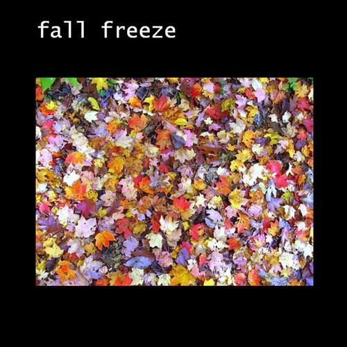 Freeze 07