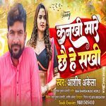 Kankhi Mare Chhe He Sakhi