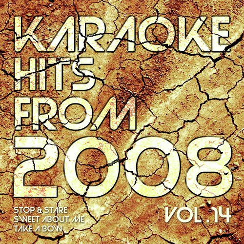 Karaoke Hits from 2008, Vol. 14