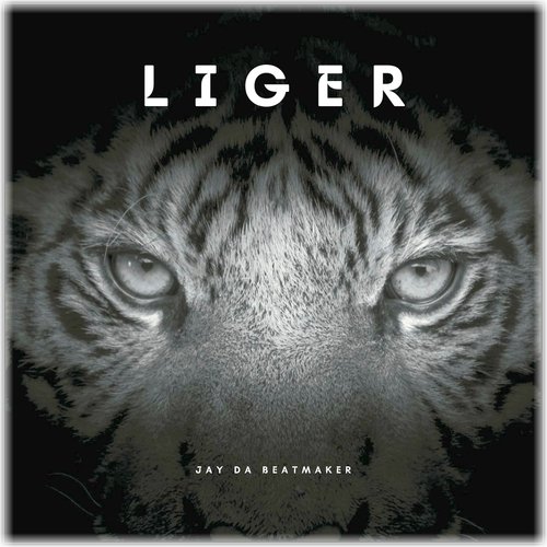 Liger cover art