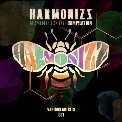 Moments For Life Compilation