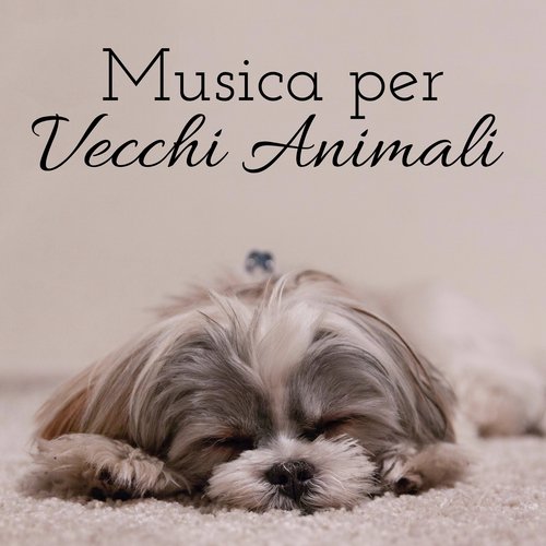 Musicoterapia cover art