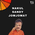 NAKUL SANDY JOMJOMAT