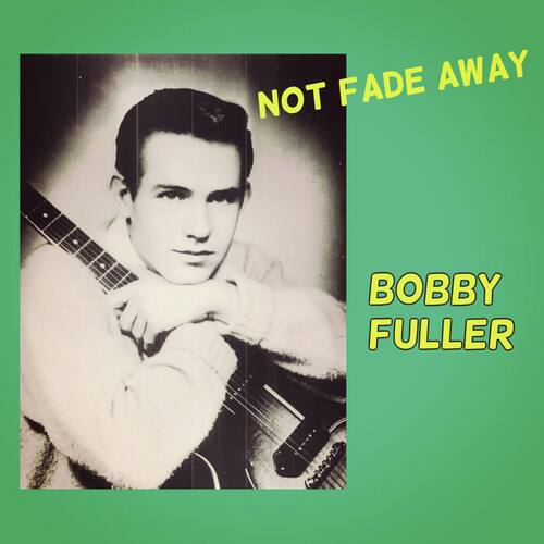 Not Fade Away_poster_image