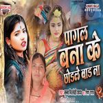 Pagal Banake Chhodale Bada Na