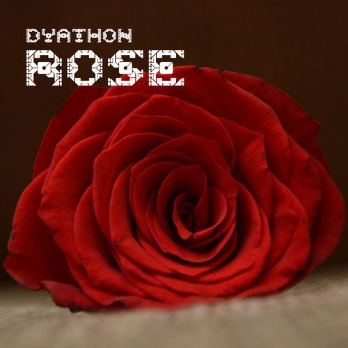 Rose cover art