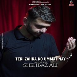 TERI ZAHRA KO UMMAT NAY-CAQdexIDcmc