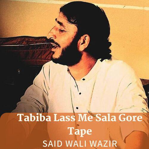 Tabiba Lass Me Sala Gore Tape_poster_image