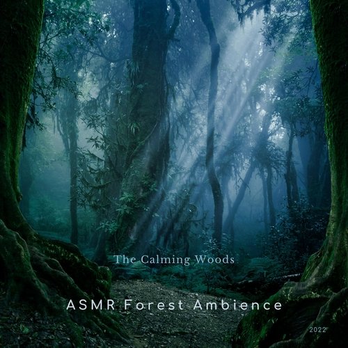 Natural Forest Sounds cover art